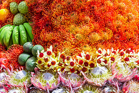 在马德拉葡萄牙节日花卉水果和鲜花装饰