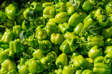 新鲜绿色甜椒图片