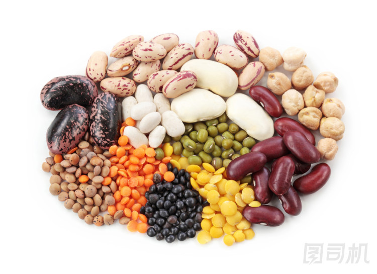 集團(tuán)豆和扁豆圖片