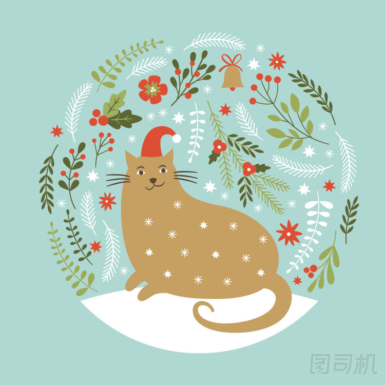 有貓的圣誕卡圖片