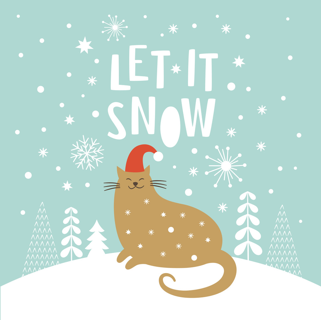 圣诞节在红色帽子的猫 圣诞节在红色帽子的猫