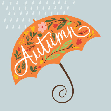 傘花，葉子照片