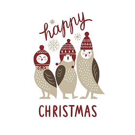 圣诞贺卡与三个可爱的猫头鹰照片