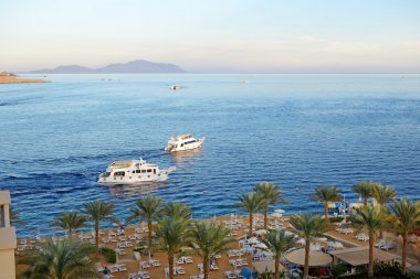 日落納馬灣、 紅海和機動游艇，在沙姆沙伊赫