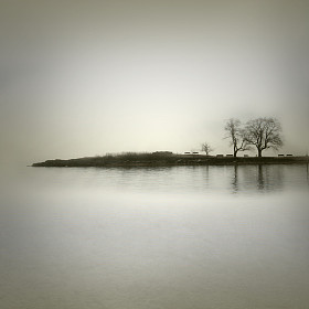 景观深褐色图片