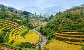 稻田上的梯田的木仓柴，Yenbai，越南。越南风景