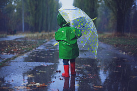 在秋天的雨季公园蹒跚学步图片
