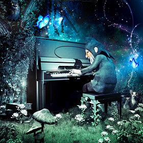 在森林里的音乐照片