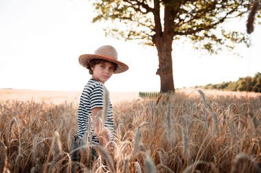 在草地上的假期圖片