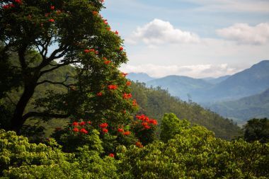 斯里蘭卡山圖片