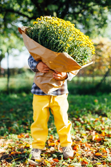 小男孩躲在后面一大束鮮花圖片