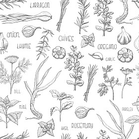 无缝模式与药草和香料图片