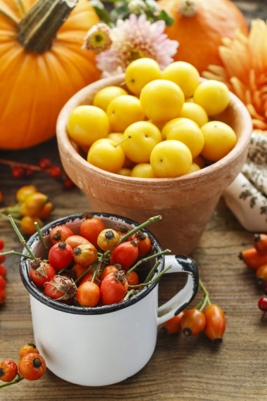 锅里的梅子黄和玫瑰果、 鲜花和南瓜壶