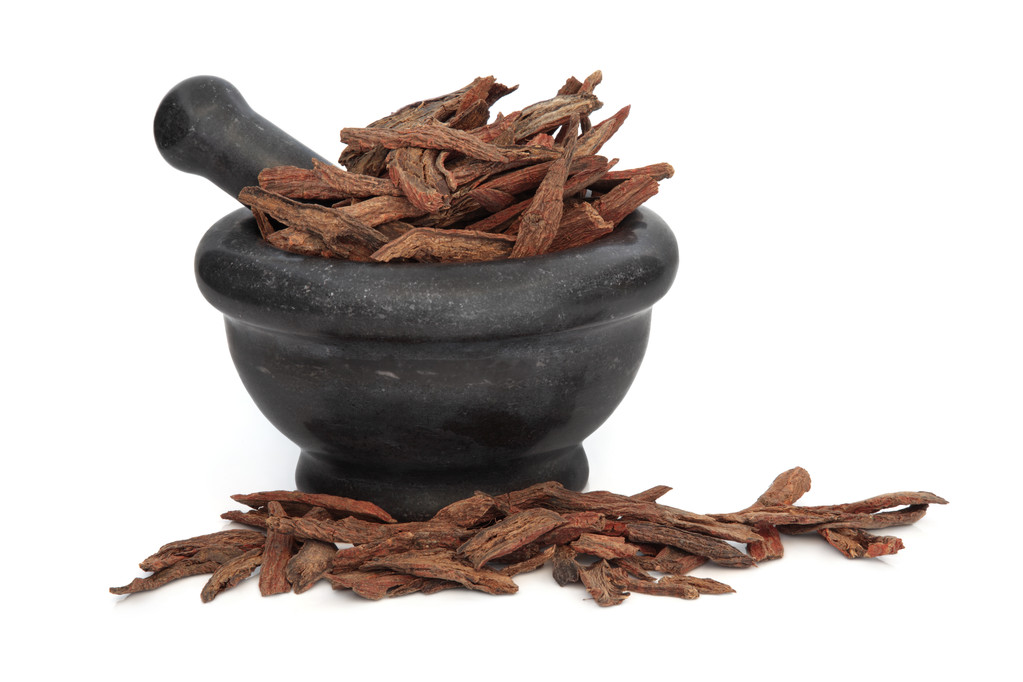 淡竹叶茎照片