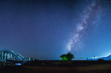 銀河系與樹(shù)和橋圖片