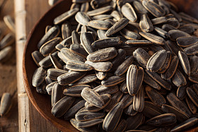 有机盐渍和烤瓜子图片