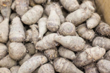芋頭供零售用