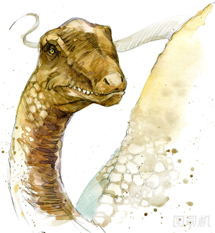 恐龍繪畫水彩。古代恐龍已經(jīng)滅絕的動物插圖?？铸埐堇L背景