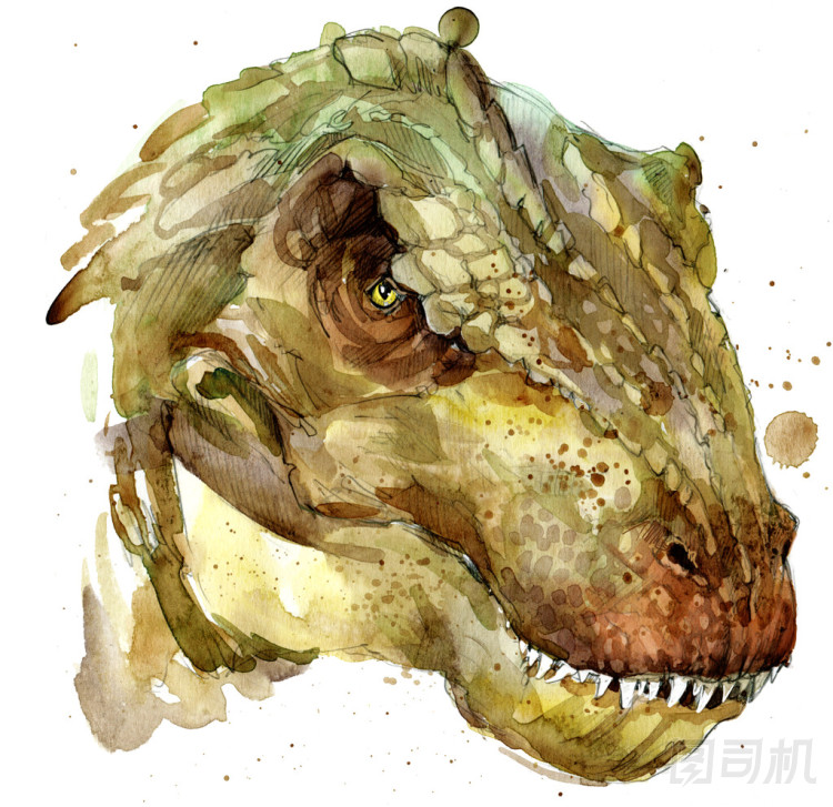 恐龍繪畫水彩。古代恐龍已經(jīng)滅絕的動(dòng)物插圖?？铸埐堇L背景