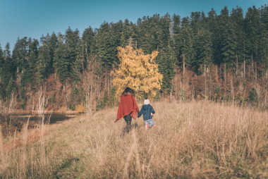 母亲和儿子的性质