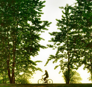 骑自行车的人日落时的剪影