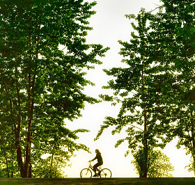 骑自行车的人日落时的剪影