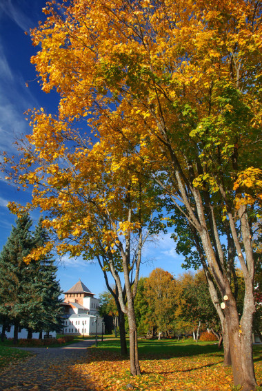 諾夫哥羅德克里姆林宮照片