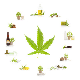 大麻和它的用法