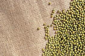 绿豆或绿豆照片