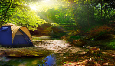 在一個(gè)陽(yáng)光明媚的森林的帳篷圖片