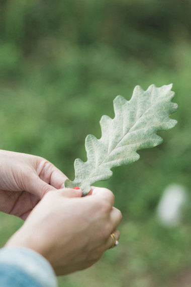 優(yōu)雅女手的照片