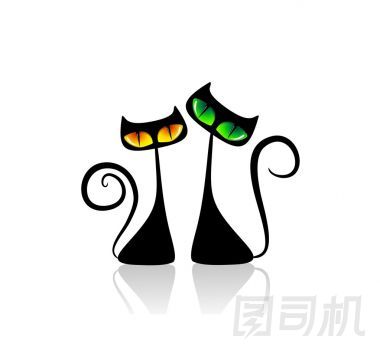 兩只貓之間的友誼