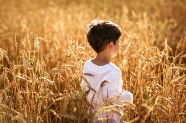孩子在一片麥田