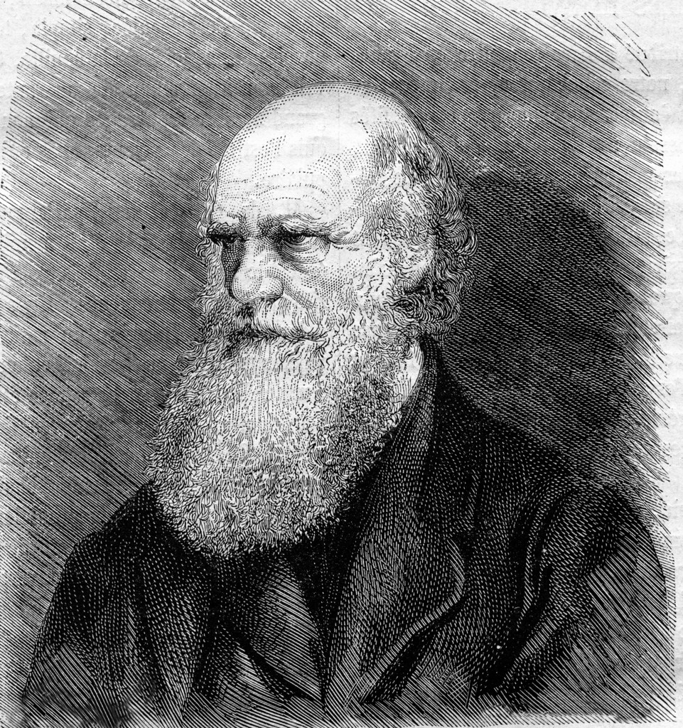 Charles Darwin after his death in April 1882, a photograph, throwback Charles Darwin after his death in April 1882, a photograph, throwback