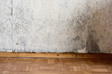 黑色模具堆積在角落