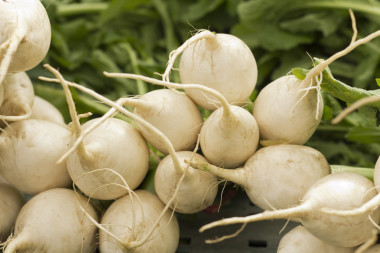 白色的冰雹蘿卜