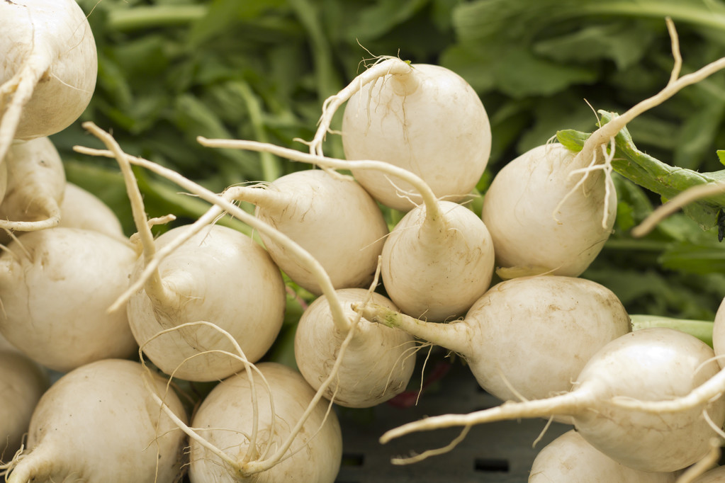 白色的冰雹萝卜