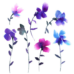 水彩花卉插图