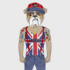 穿着t恤的英国斗牛犬