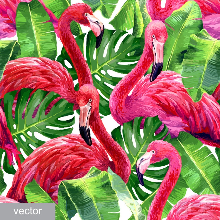 多彩的粉紅色的火烈鳥