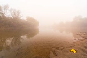 雾和湍急的河流上的薄雾