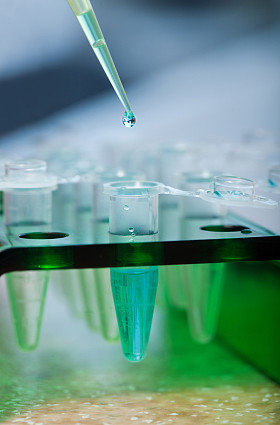 分子生物学图片