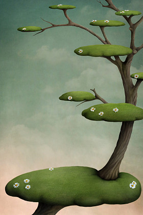 树的绿色小岛图片