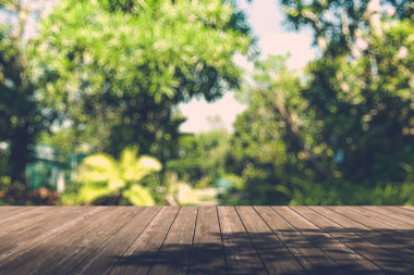 在秋天的森林與木板樓美麗陽光