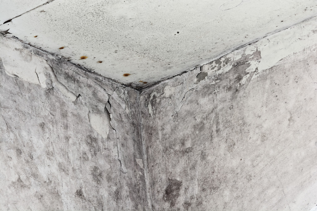 在一个房间的边模具 在一个房间的边模具