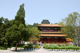 万春