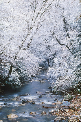 大烟山