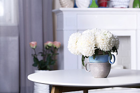 美丽在花瓶中的鲜花照片