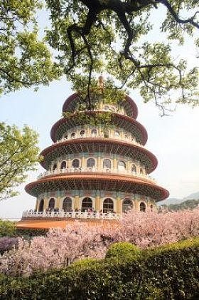 美丽的樱花园，位于台湾台北
