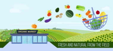 有机食品配送到家.照片